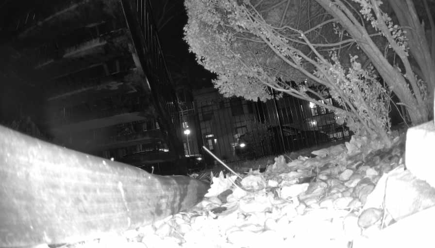 Reolink Camera Two_01_Reolink Home Hub One_20250117190852.jpg